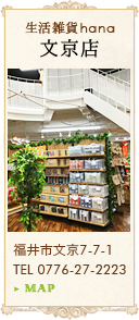 生活雑貨hana 文京店